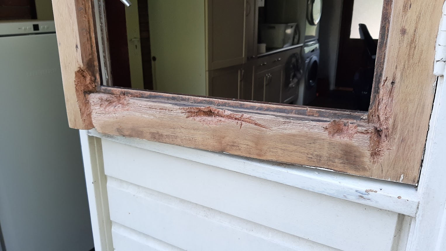 Professionele Houtrot Reparatie