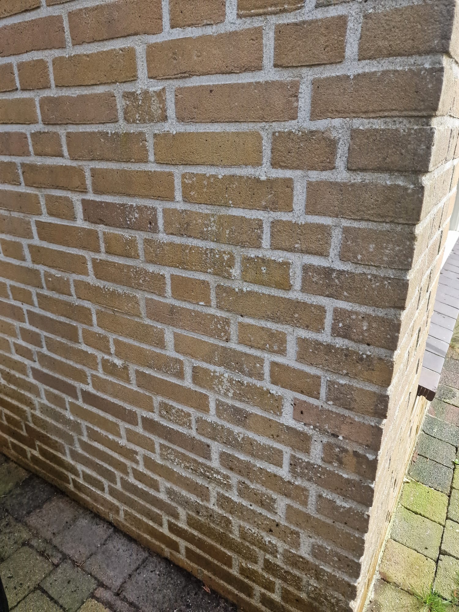 Professionele Gevelreiniging